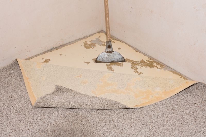 Carpet Removal Service in Auburn, CA