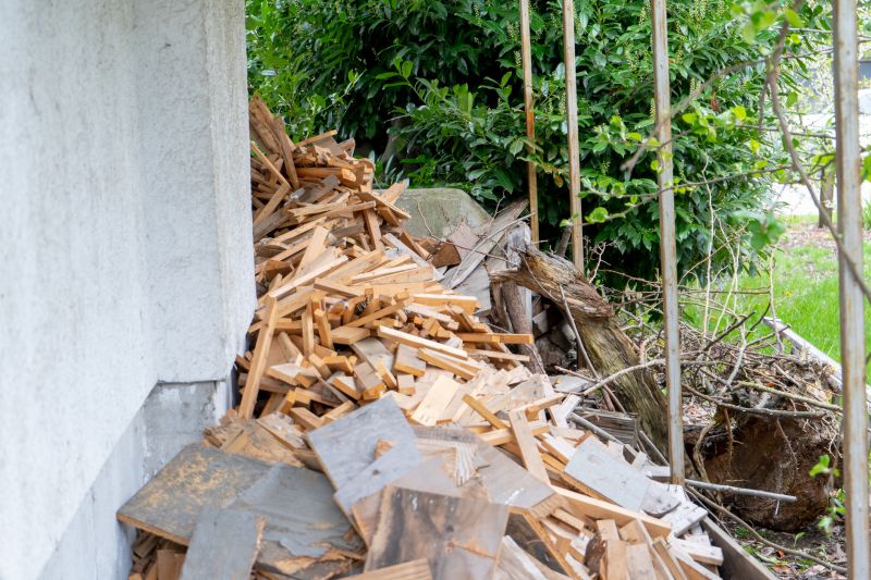 Debris Removal Service in Auburn, CA