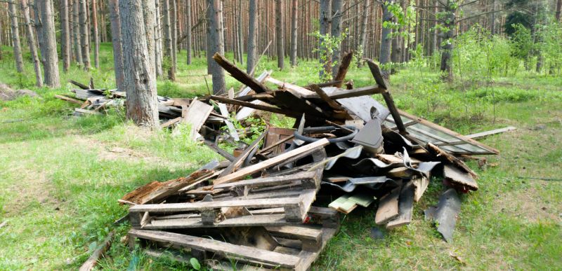 Debris Removal Service in Sacramento, CA